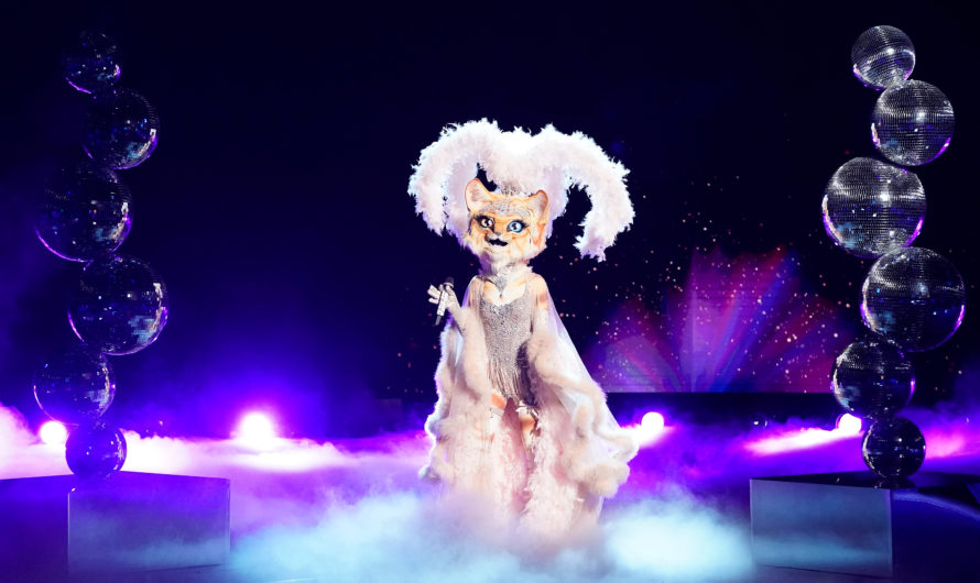 The Masked Singer: Predictions of who’s behind the disguise