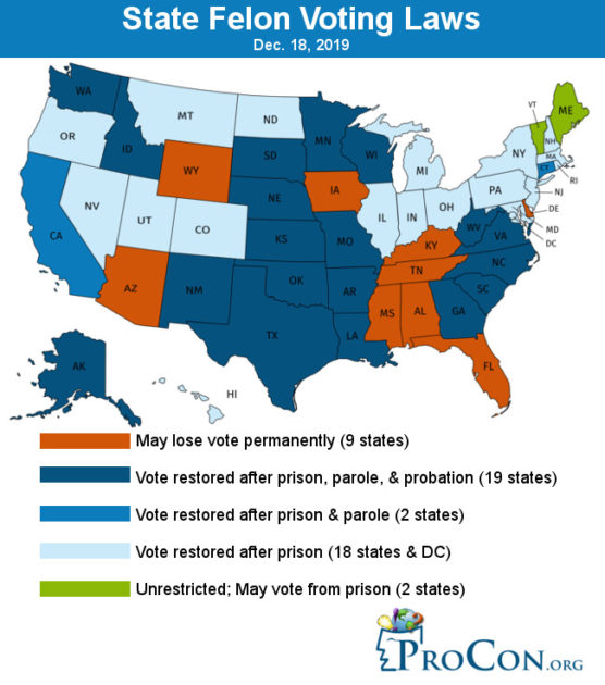 How to Vote in a Pandemic for Dummies | The Chimes