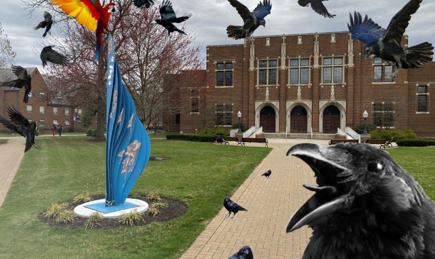 Satire: Murderous ravens and parrot wreak havoc on campus