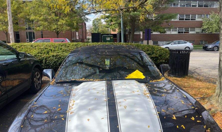 Investigating parking on campus