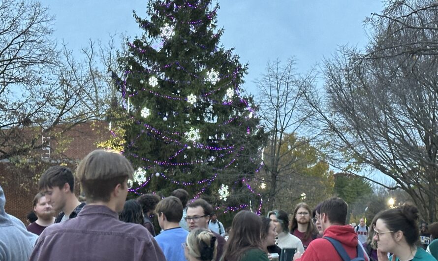 Highlights from the university’s annual Tree Lighting Ceremony