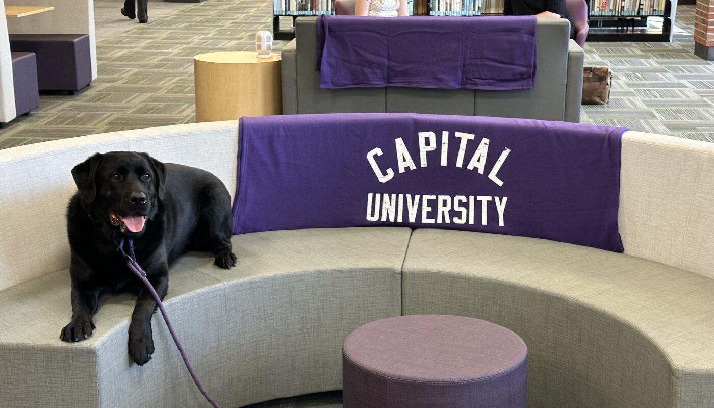 Blackmore library renovation