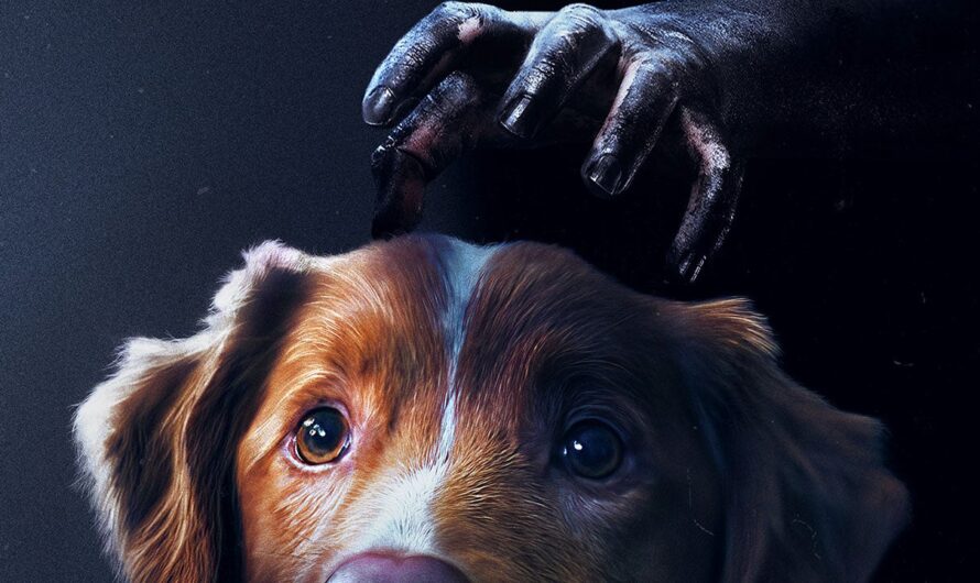 Was the dog from ‘Good Boy’ good enough to win over audiences?