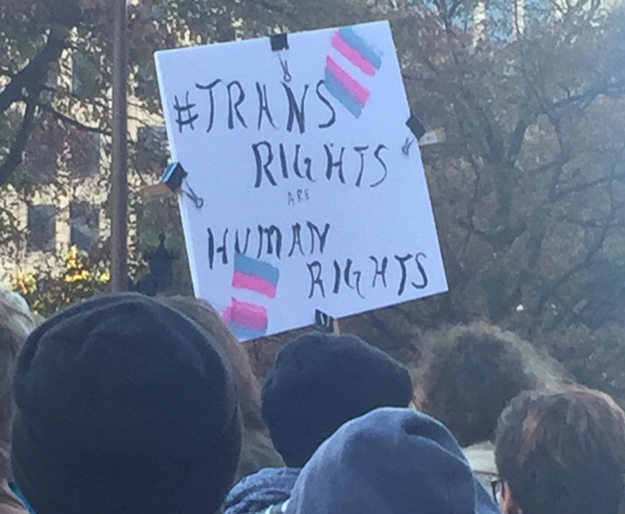 Transgender visibility rallies sparking change