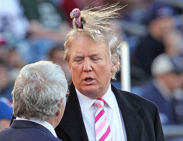New species of bird found living on President Trump’s head