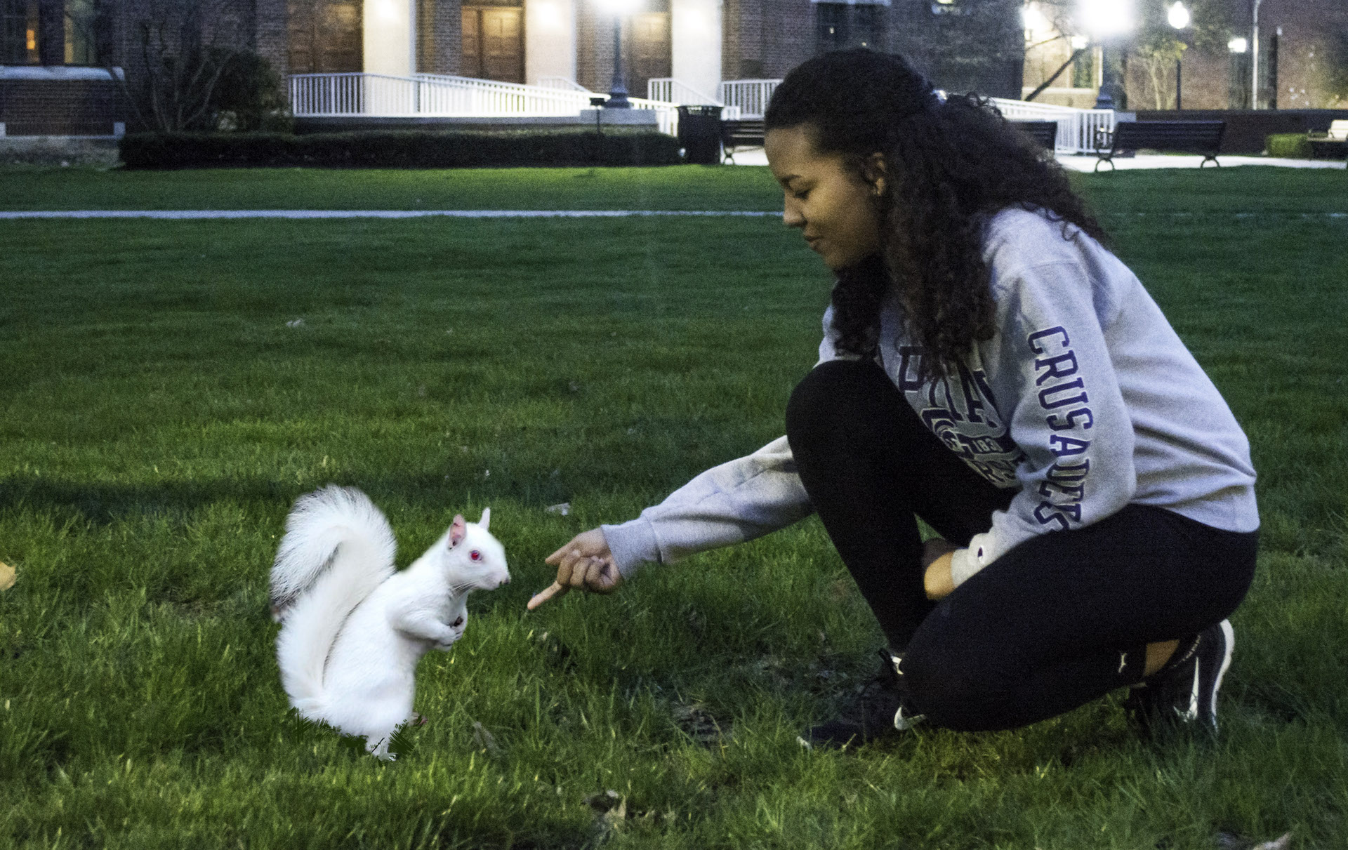 Albus the Albino Squirrel Claims His Most Recent Victim